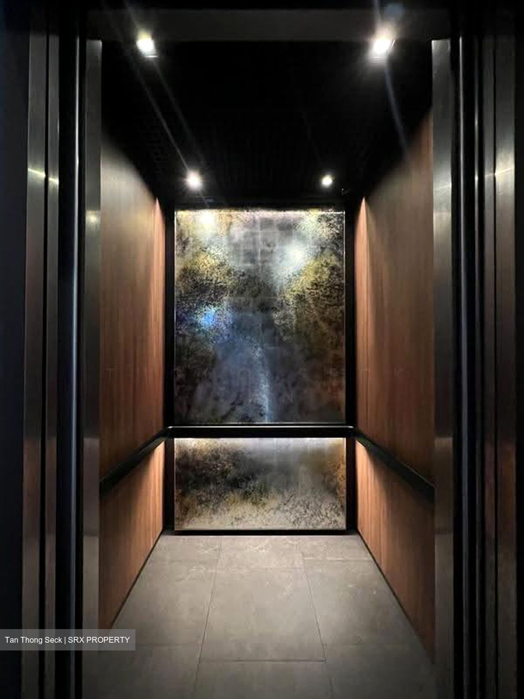 PETIT JERVOIS (D10), Apartment #607282031